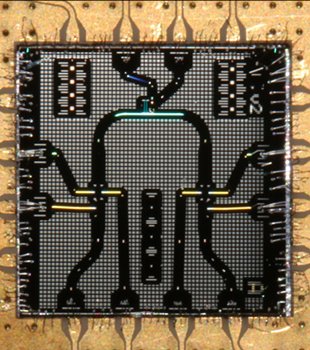 Optical image of the "magic cavity" superconducting quantum circuit (SQC) chip