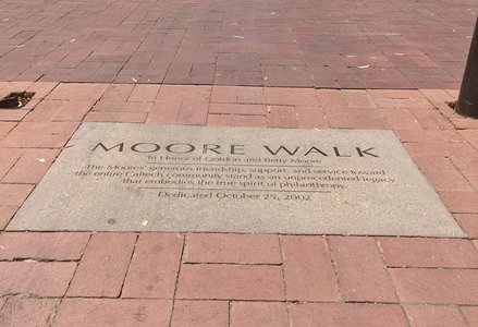 Moore Walk 1