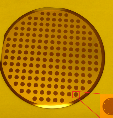 Polymer patch implant for articular cartilage regeneration