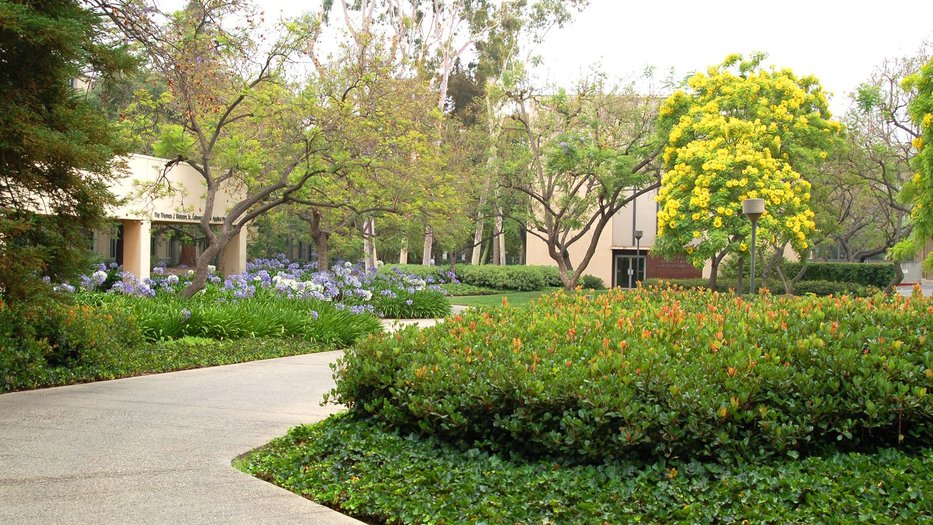 Watson lab
