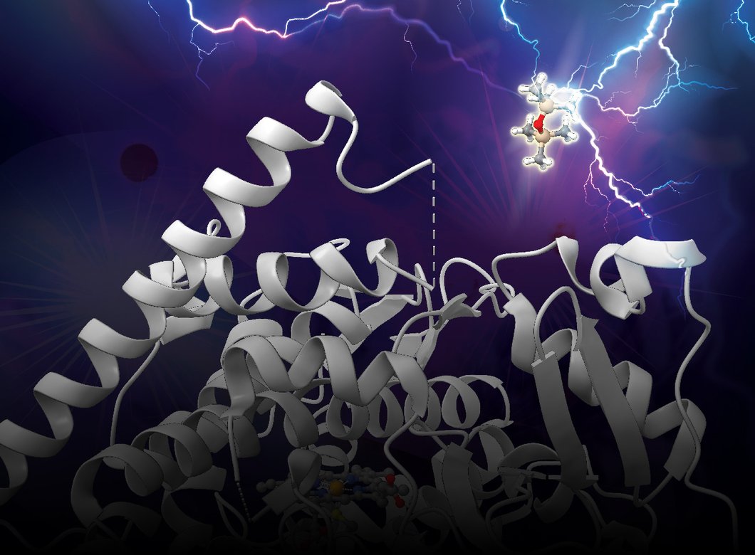An artist's concept of a silicon-carbon bond being broken by an enzyme.