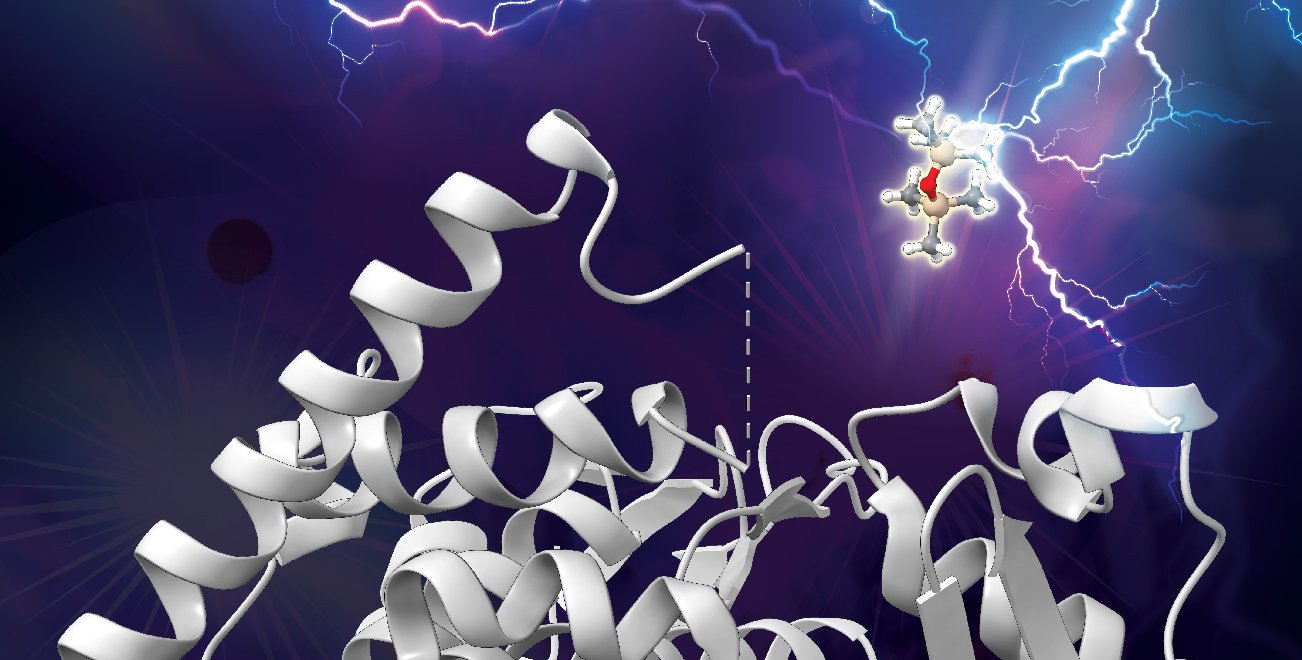An artist's concept of a silicon-carbon bond being broken by an enzyme.