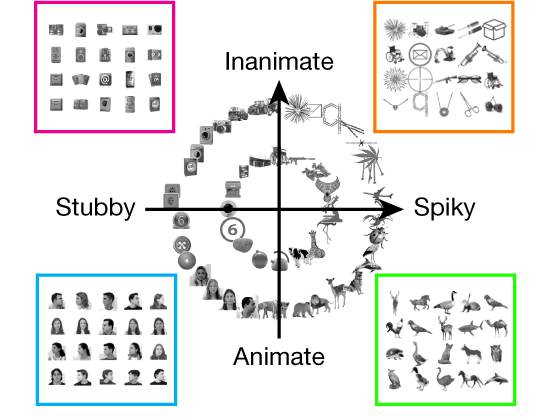 Four quadrants of different objects