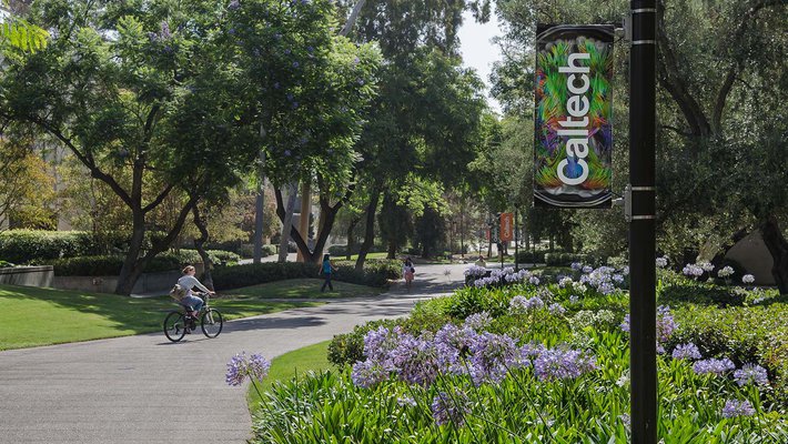 A cyclist and pedestrians on the Caltech campus, with flowers visible in the foreground.