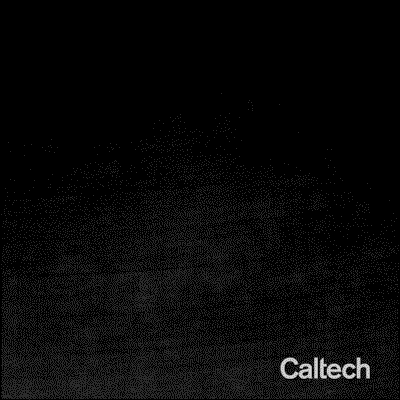 Many black pill shapes multiply