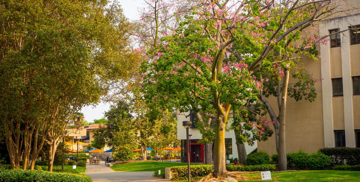 Photo of the Caltech campus including the Red Door Cafe
