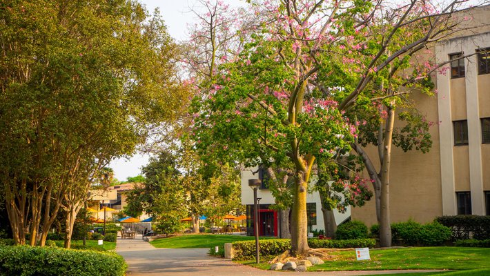 Photo of the Caltech campus including the Red Door Cafe
