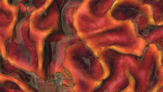 Detail of a rendering of a brain surface region from three-dimensional magnetic resonance images acquired from a healthy volunteer at the Caltech Brain Imaging Center.