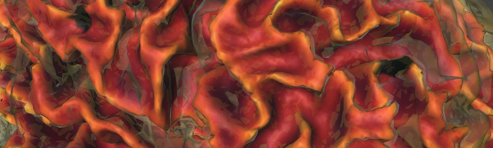 Detail of a rendering of a brain surface region from three-dimensional magnetic resonance images acquired from a healthy volunteer at the Caltech Brain Imaging Center.