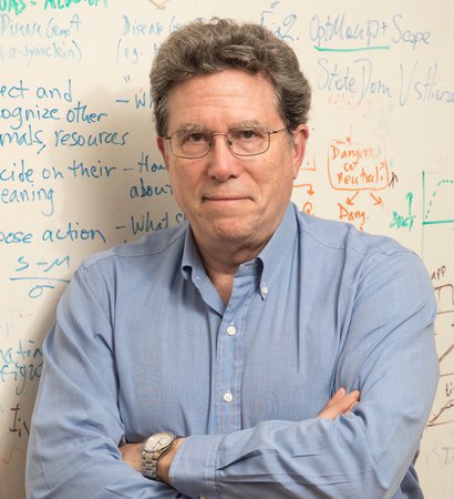 Headshot of Professor David Anderson