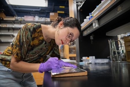 Student with purple gloves at a lab bench with a sample