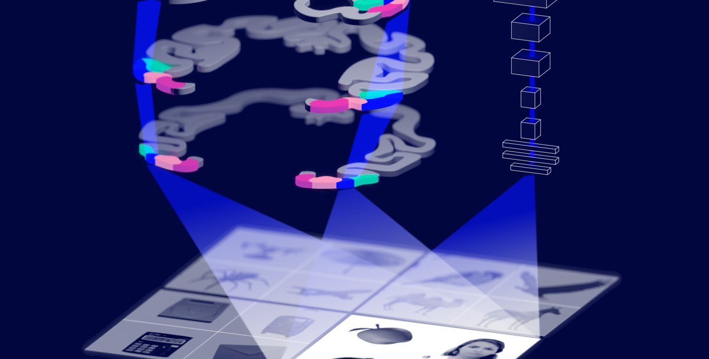 An artist's rendition of layers of the brain representing different objects