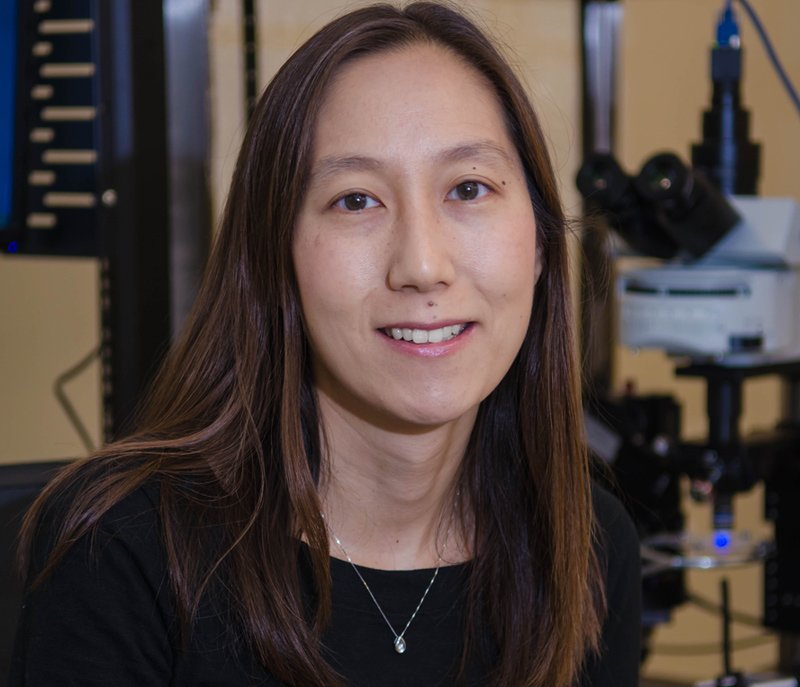 A portrait of Elizabeth Hong