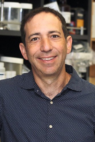 A portrait of Michael Elowitz