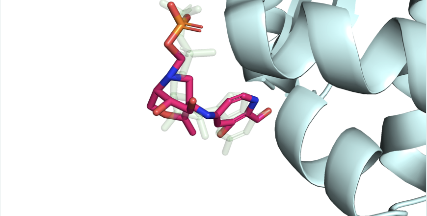a multi-colored ligand coming in to bind with a protein shown as a ribbon diagram