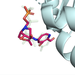 a multi-colored ligand coming in to bind with a protein shown as a ribbon diagram