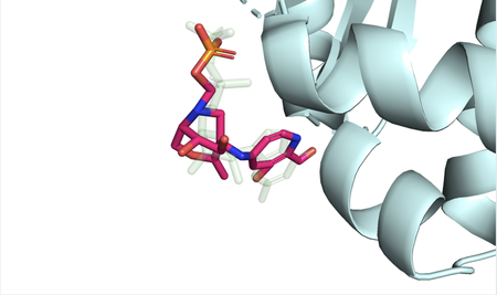 a multi-colored ligand coming in to bind with a protein shown as a ribbon diagram