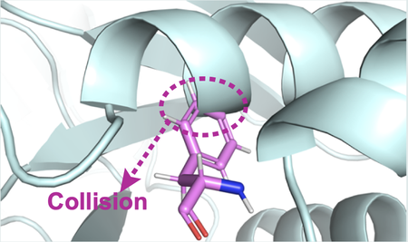a molecule colliding with part of a ribbonlike protein structure