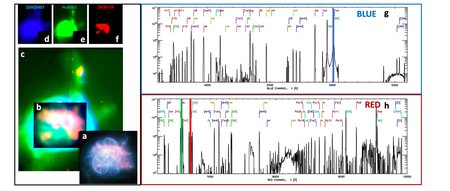 First-light image of the Turtle Nebula and spectrum.