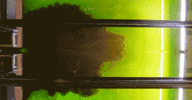 model using dye to show how water flows through a simulated delta