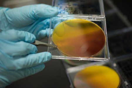 Solar fuels