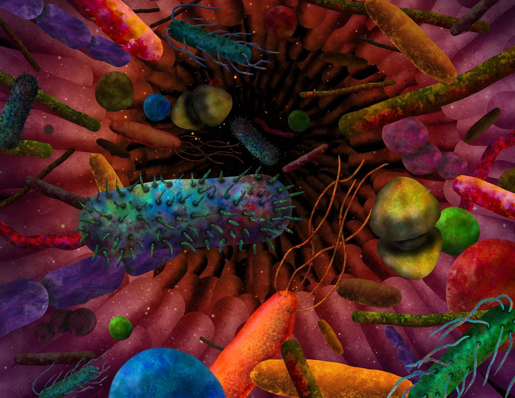 colorful biology research image