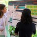 Brynja Bjarnadóttir, a visiting student from the University of Iceland, describes a novel approach to breaking apart kidney stones using higher-frequency, lower-power sound waves than usual, to improve the treatment's efficacy.