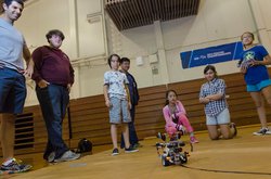 Watching the bot