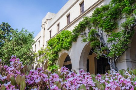 General campus image