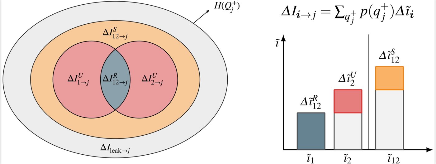 A schematic drawing featuring overlapping colored areas to indicate the various types of causality. A mathematical equation is also shown.
