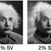 Four copies of the black and white photograph of Albert Einstein with 100% clarity (no compression), 10% singular values (blurrier), 2% singular values (even blurrier), and 1% singular values (recognizable as the same photo but extremely blurry)
