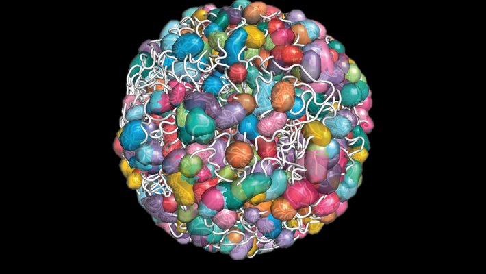 Colorful blobs wrapped in tangled strings of DNA