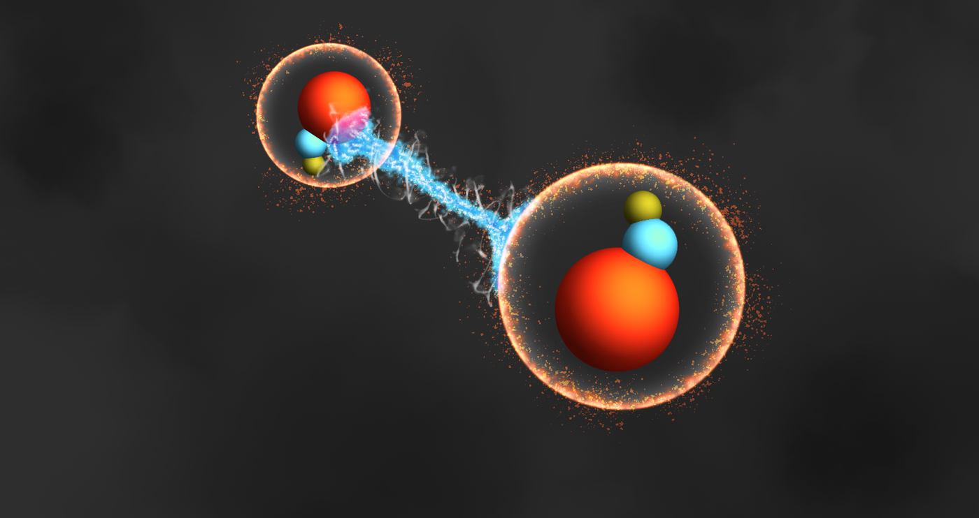 Artwork depicting entangled molecules.