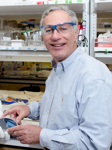 Portrait of Nate Lewis, the George L. Argyros Professor of Chemistry.