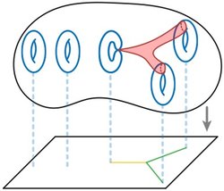 Diagram showing non-Archimedean curves in mirror symmetry