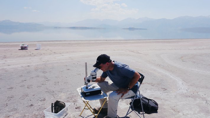 Researchers examine nematodes by Mono Lake in the Eastern Sierras of California.