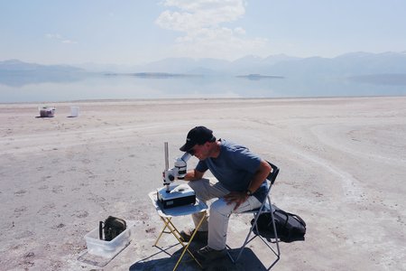 Researchers examine nematodes by Mono Lake in the Eastern Sierras of California.