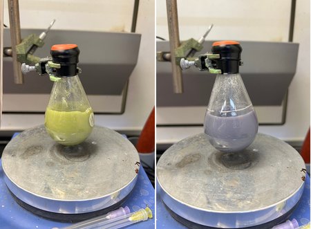 This image shows different stages of a chemical reaction with the samarium diiodide reagent. The flask on the left contains a yellow, inactive form of the compound—over time, the compound becomes active and turns purple, as seen on the right.