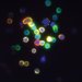 Fluorescence-labeled immature T cells