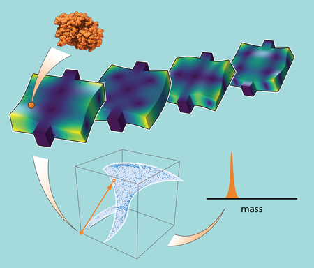 diagram depicting how to arrive at the mass measurement of a single molecule