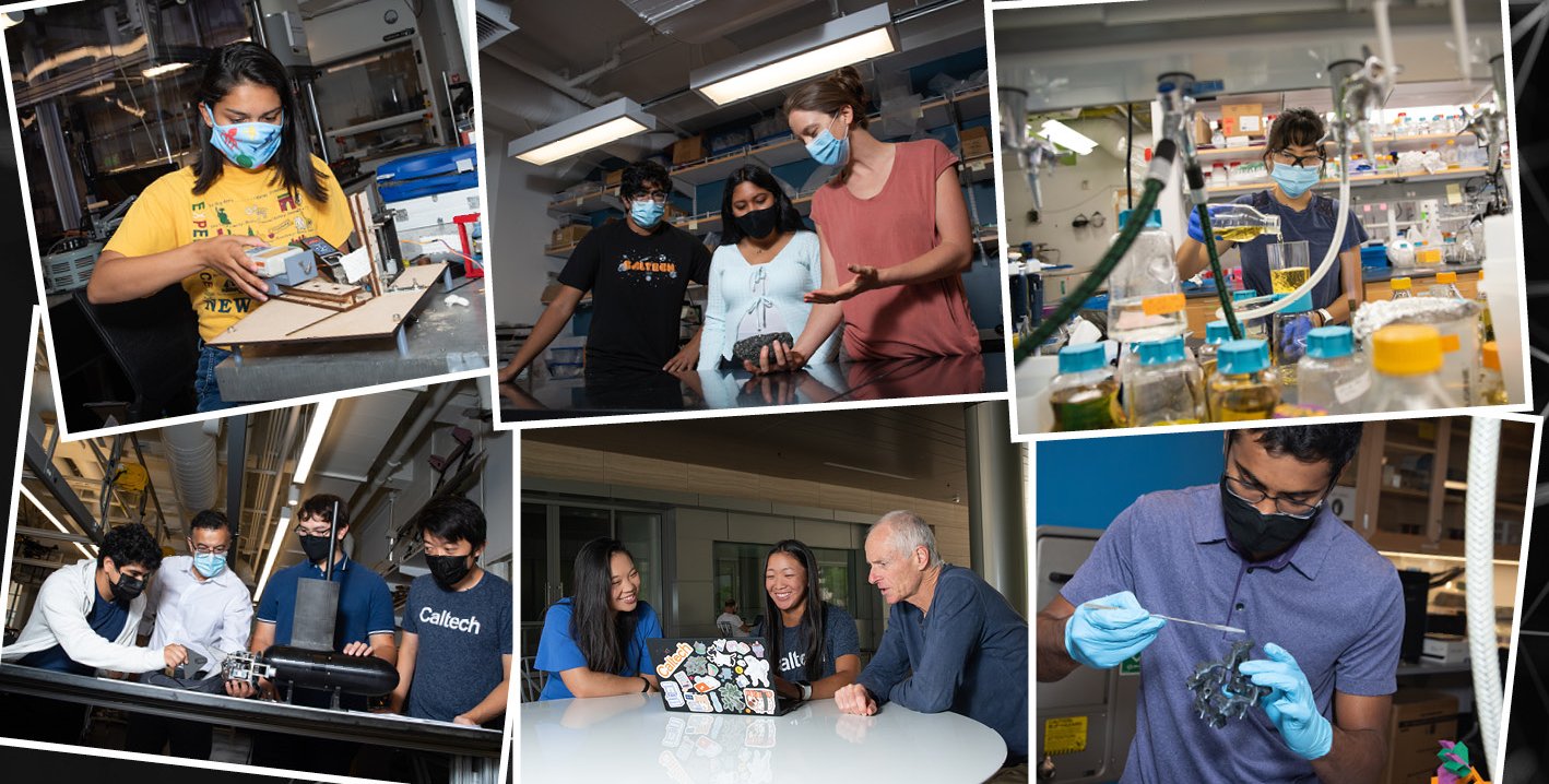 A collage showing undergraduate students participating in various kinds of research.