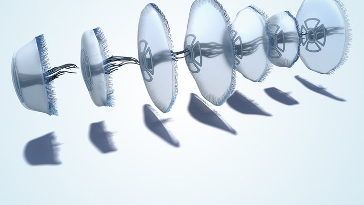 A computer generated image of a jellyfish at several stages of its swimming motion.