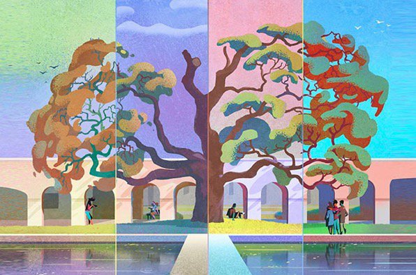 Artistic image of the campus Englemann Oak