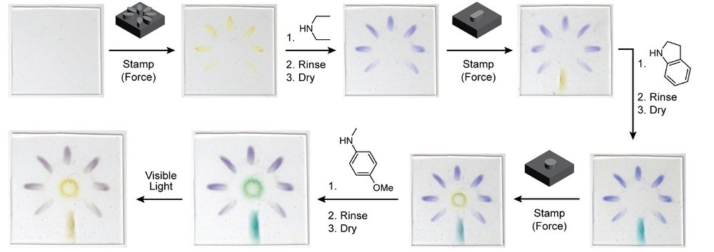 The process in which a flower image was stamped onto a polymer and developed with multiple colors.