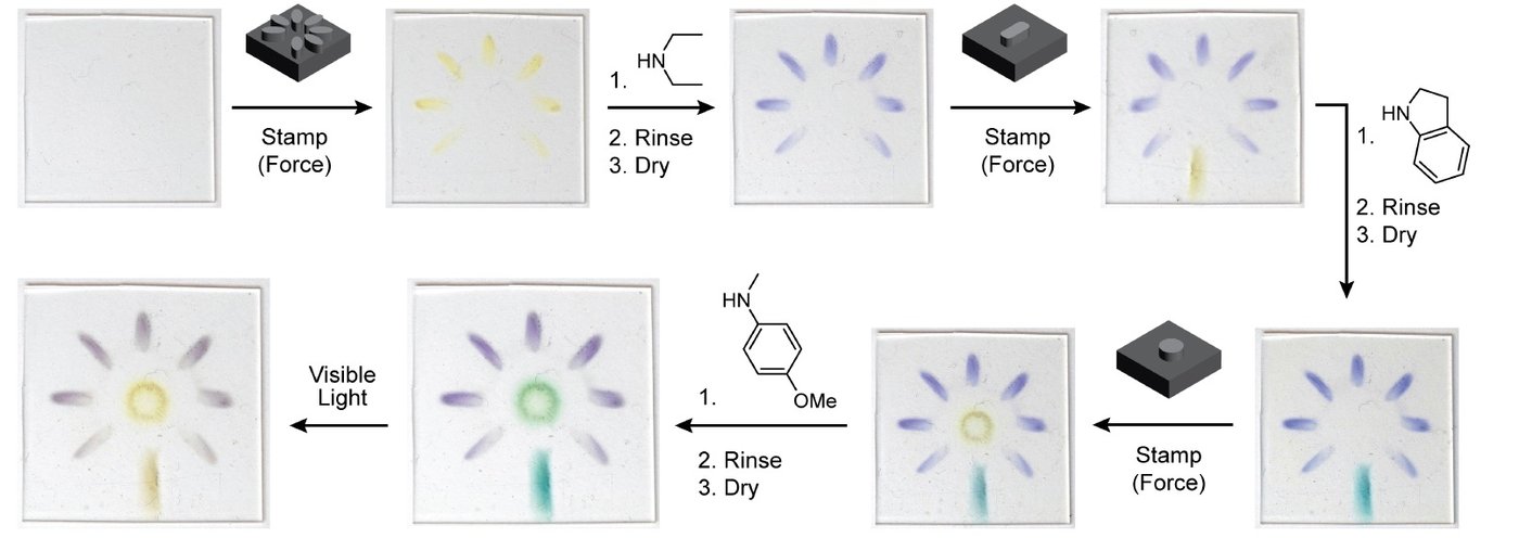 The process in which a flower image was stamped onto a polymer and developed with multiple colors.