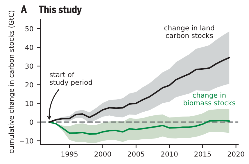 A graph showing steady levels of biomass stocks and an increasing level of land carbon stocks