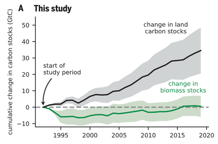 A graph showing steady levels of biomass stocks and an increasing level of land carbon stocks