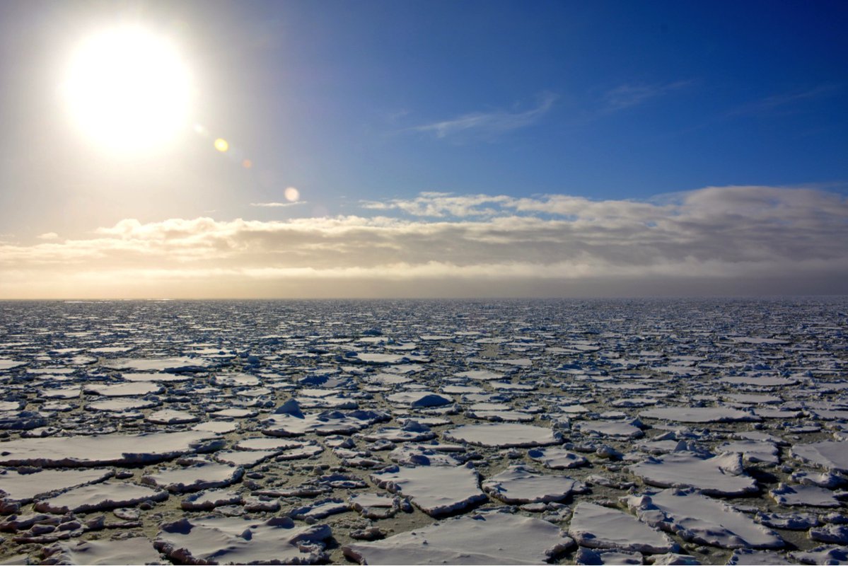 Sea Ice