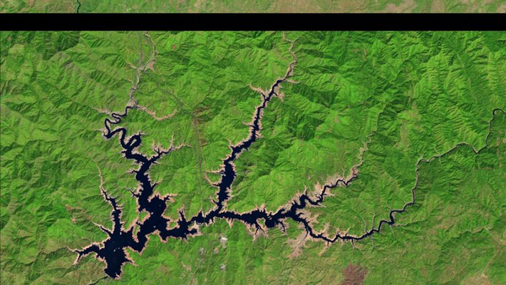 Shasta