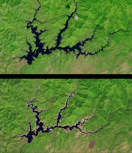 Shasta